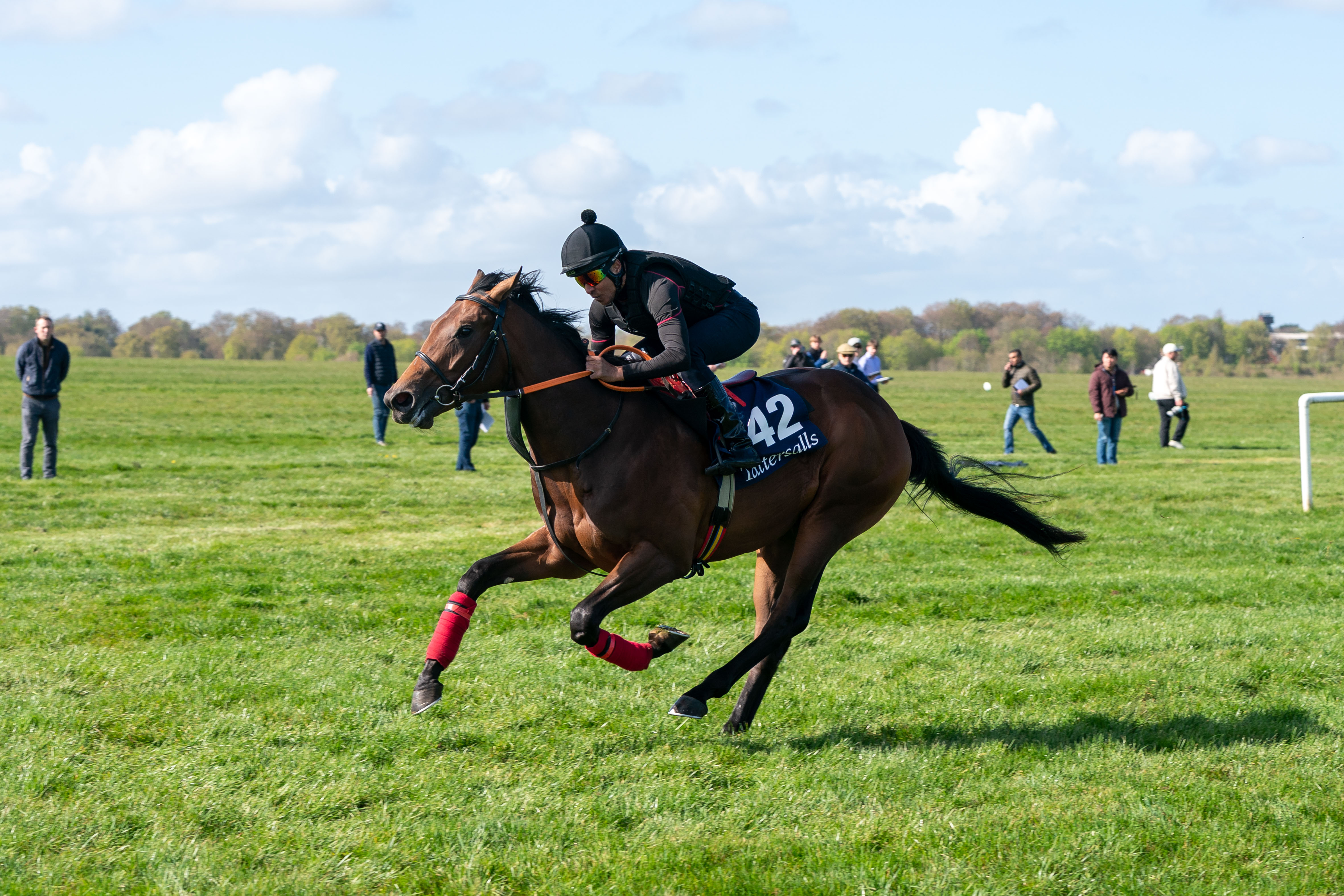 Lot 42 TCBU972 Tattersalls