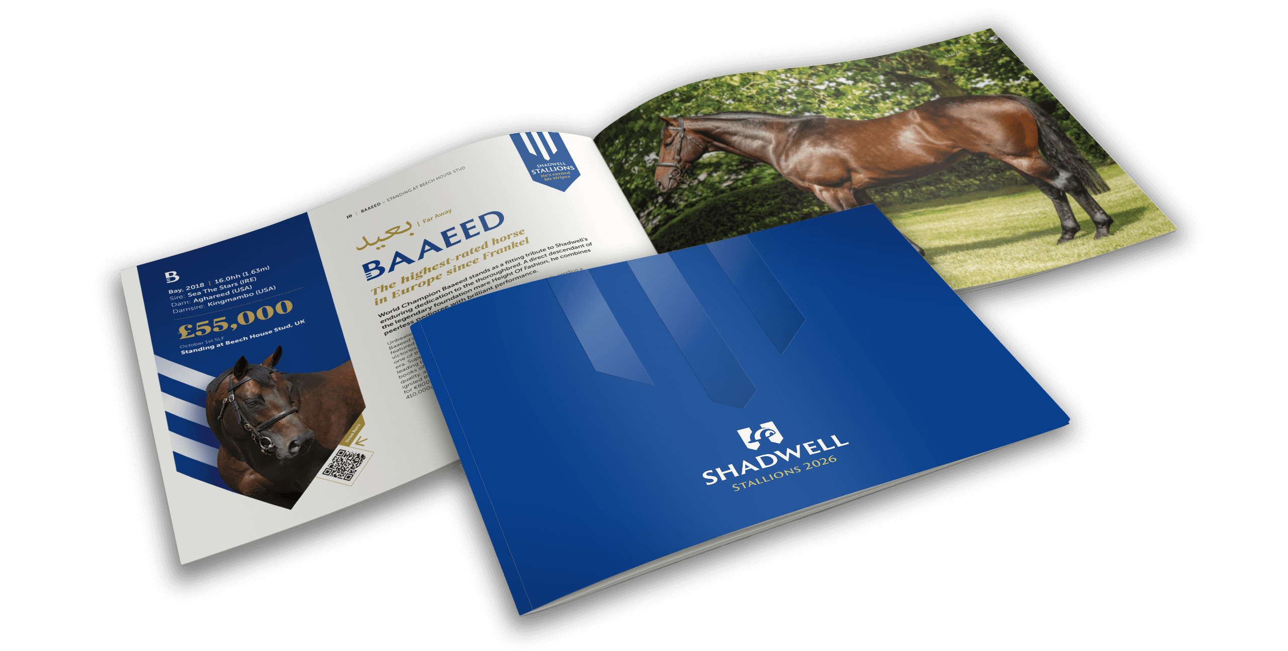 Website Mockup Shadwell Brochure 2026