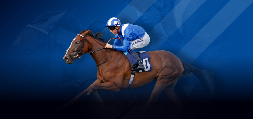 14548 Shadwell PPF April Website Graphic 3200x1510px Touleen v1