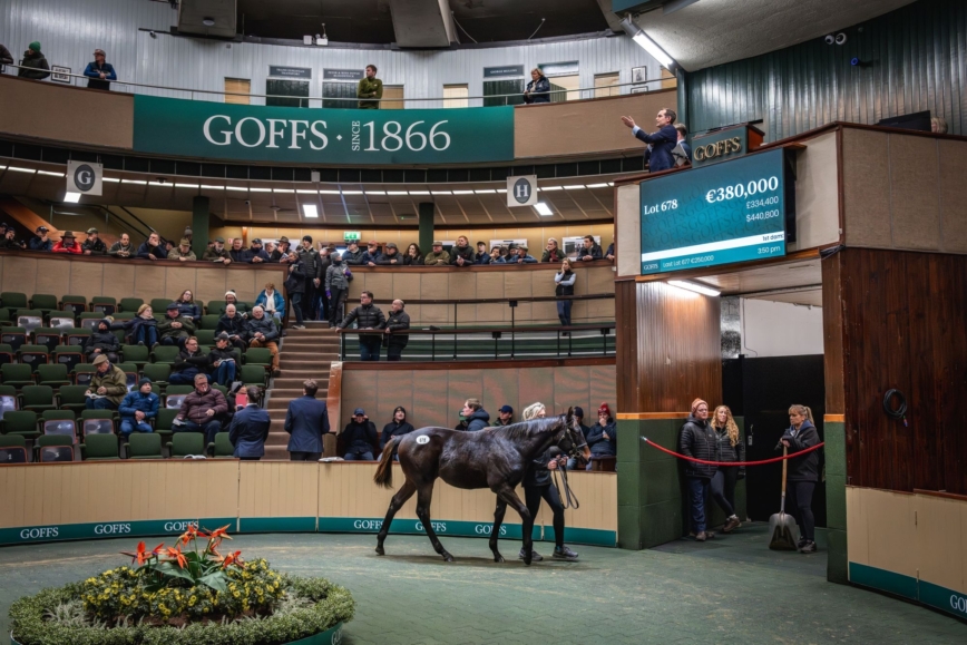 Goffs Foals Nov25 Day 3 125 1