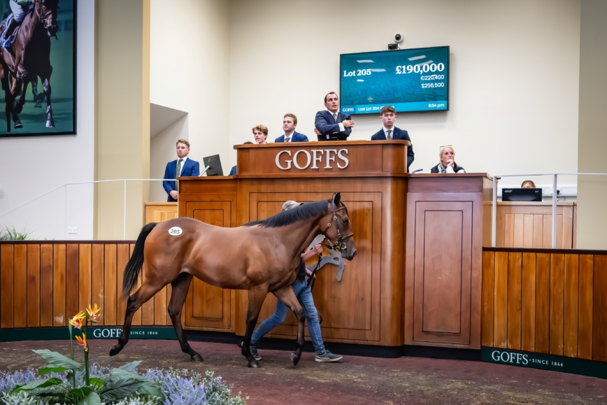 Goffs UK PY25 press 197 Medium res